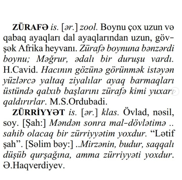 Dil öğrenmenin püf noktası 61 - Açıklamalı tek dilli sözlükler kullanın