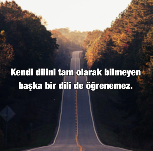Dil öğrenmenin püf noktası 11 - yabancı dil öğrenmek için Kendi anadilinizi iyi öğrenin